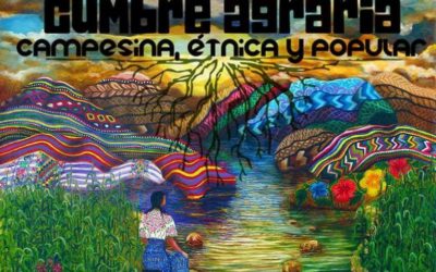 Declaración política de la Cumbre Agraria: Campesina, Étnica y Popular  “Sembrando dignidad, labrando esperanza y cosechando país”