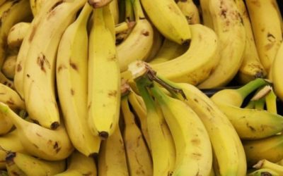 Avanzarán en EU reclamaciones contra Chiquita por financiamiento de paramilitares colombianos