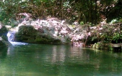 Corte Constitucional ordena proteger el agua, la salud y la seguridad alimentaria de comunidades que dependen del arroyo Bruno