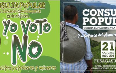 Consultas Populares de Fusagasugá y San Bernardo, Cundinamarca, son constitucionales, legítimas y democráticas