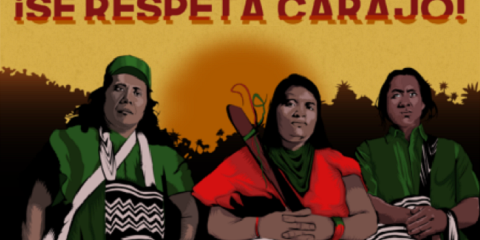 Colombia debe garantizar el derecho a la protesta de los pueblos indígenas y comunidades afrodescendientes
